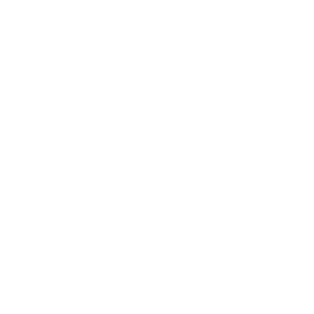 Copain Logo wit
