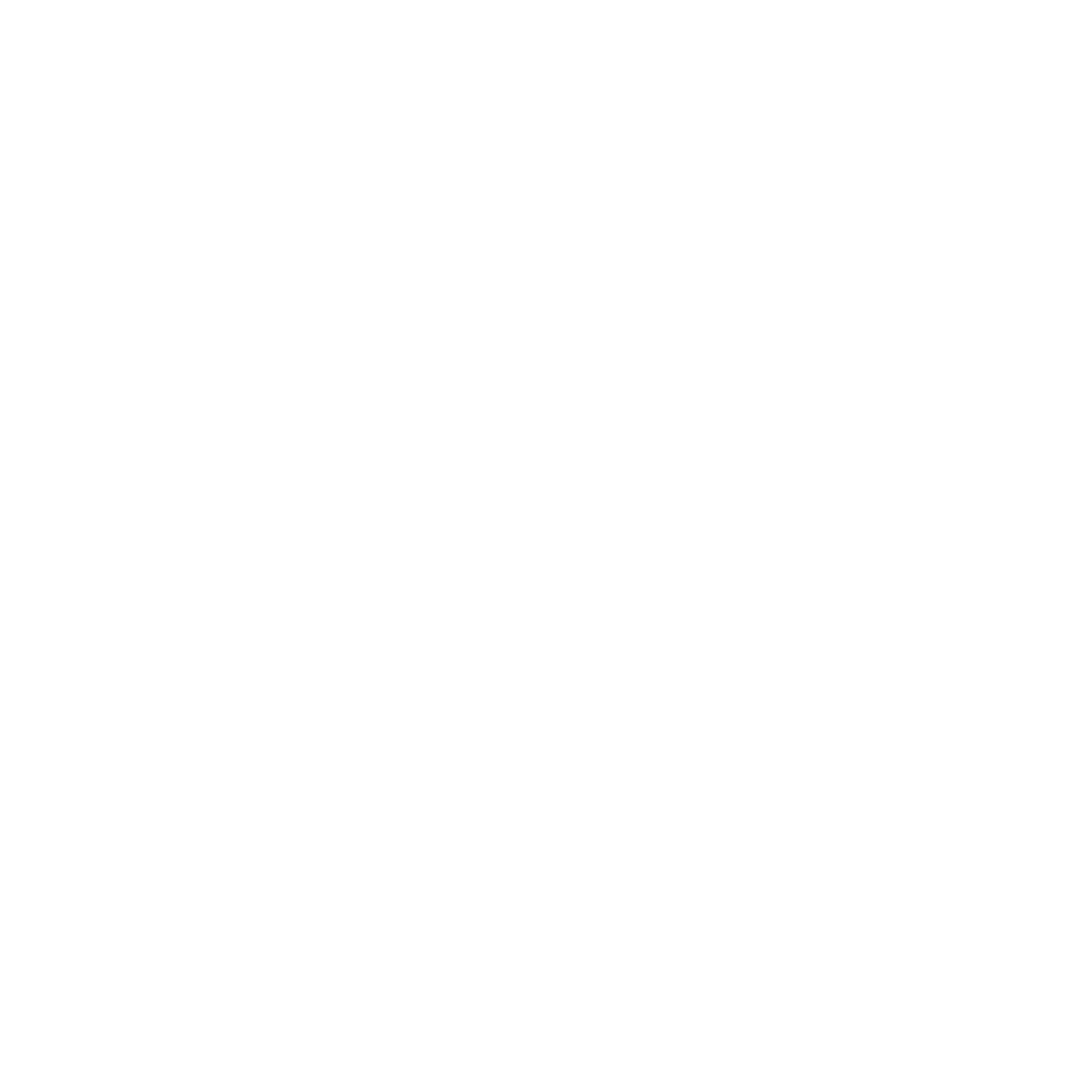 Homies Logo wit
