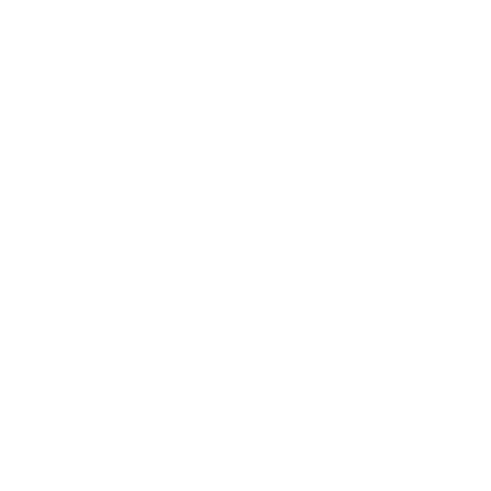 OAK Logo wit